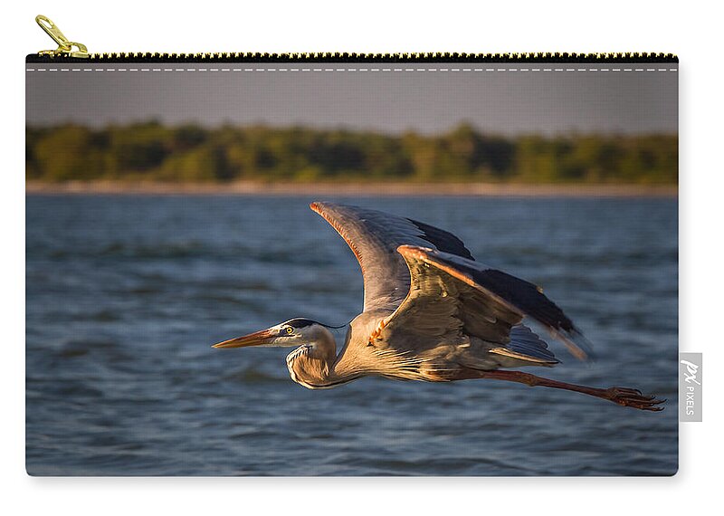 Big Bird Carry-all Pouch featuring the photograph Flying Great Blue Heron by Ron Pate