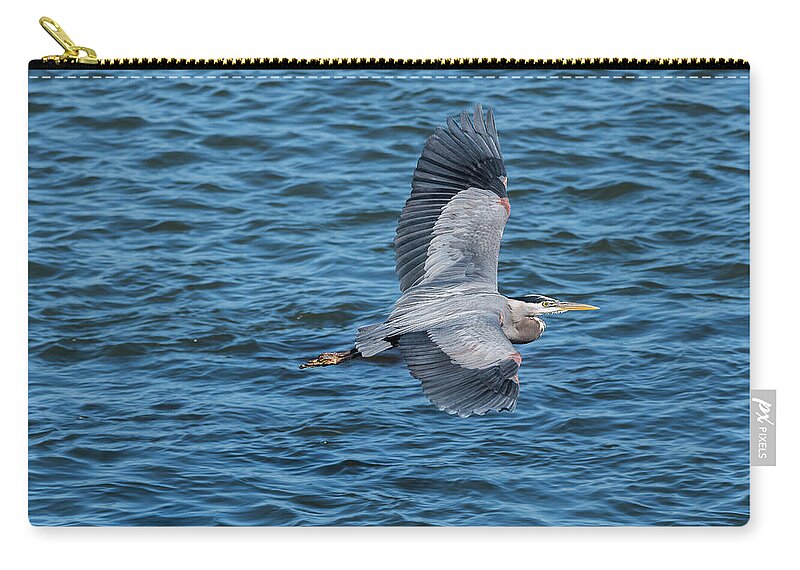Astoria Zip Pouch featuring the photograph Flying Heron by Robert Potts