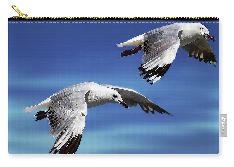 Seagull Photography Carry-all Pouch featuring the photograph Flying high 0064 by Kevin Chippindall