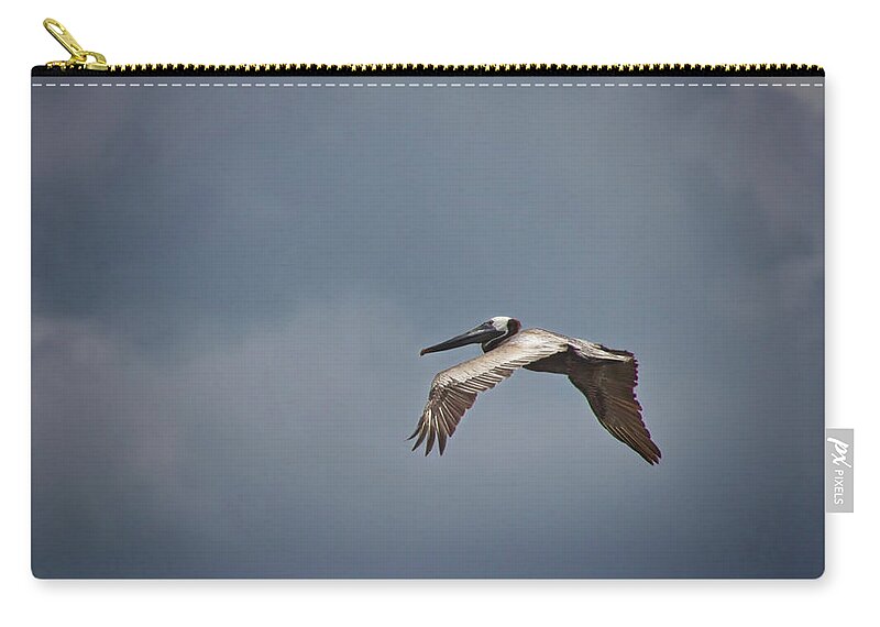  Zip Pouch featuring the photograph Flying High by Phil Mancuso