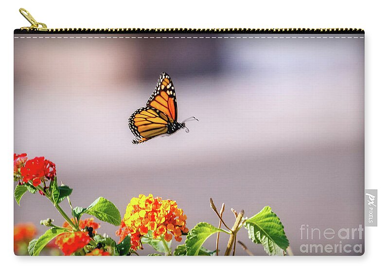 Orange Zip Pouch featuring the photograph Flying Monarch Butterfly by Robert Bales