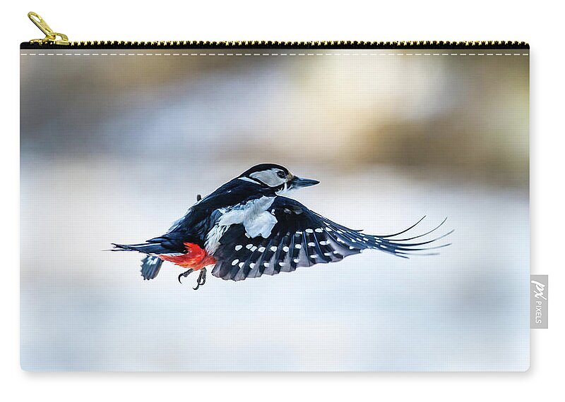 Flying Woodpecker Carry-all Pouch featuring the photograph Flying Woodpecker by Torbjorn Swenelius