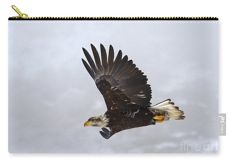 Eagle Zip Pouch featuring the photograph Foggy Flight by Michael Dawson