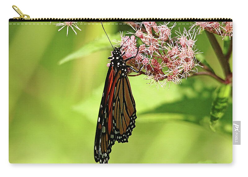 Monarch Zip Pouch featuring the photograph Folded Monarch by Debbie Oppermann