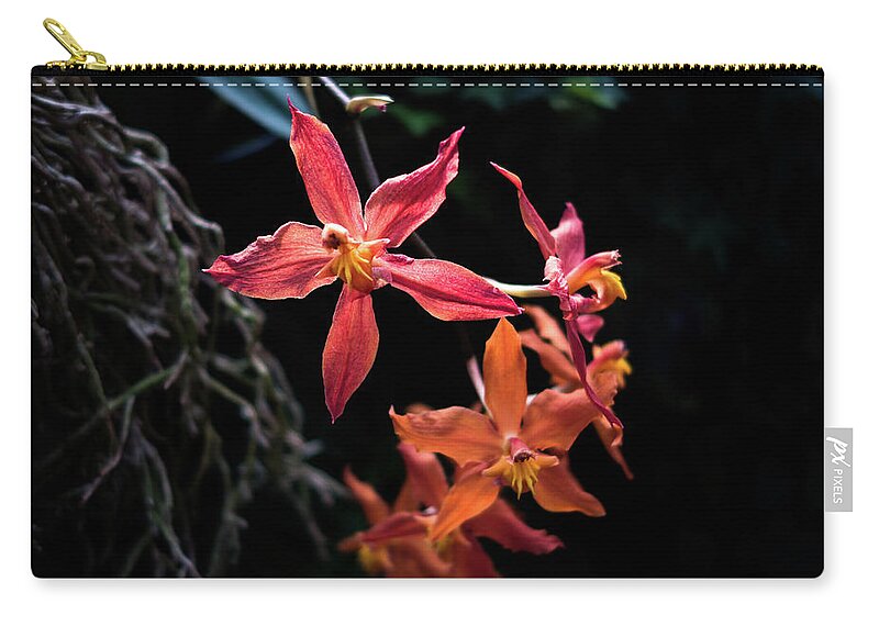 Longwood Gardens Zip Pouch featuring the photograph Follow The Leader by David Sutton
