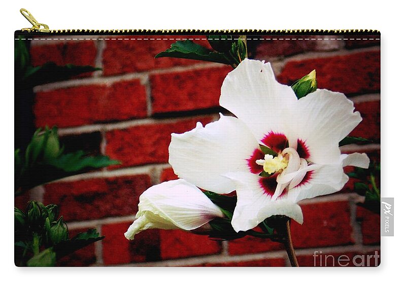 Photography Zip Pouch featuring the photograph For The One I Love by MaryLee Parker