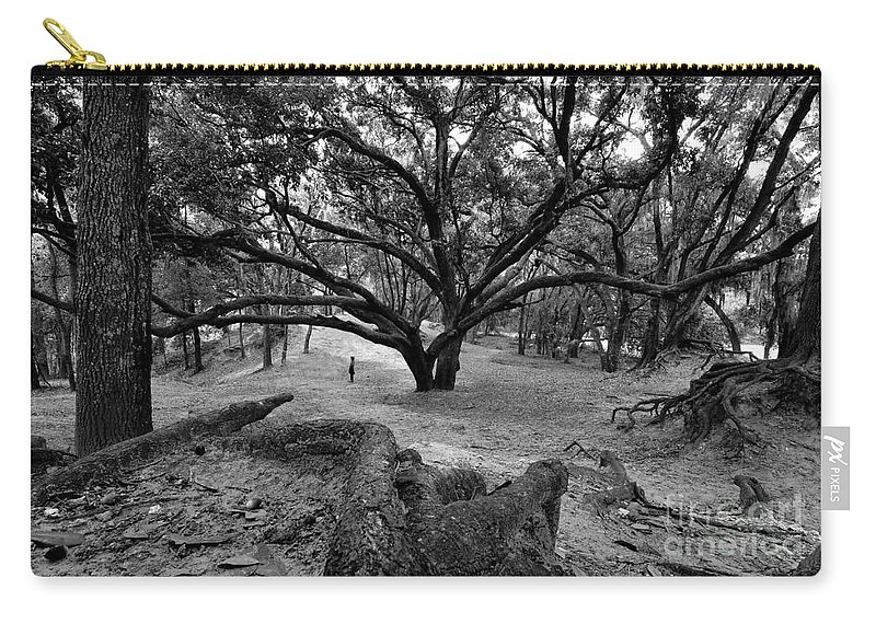 Angel Zip Pouch featuring the photograph Forest Angel by David Lee Thompson