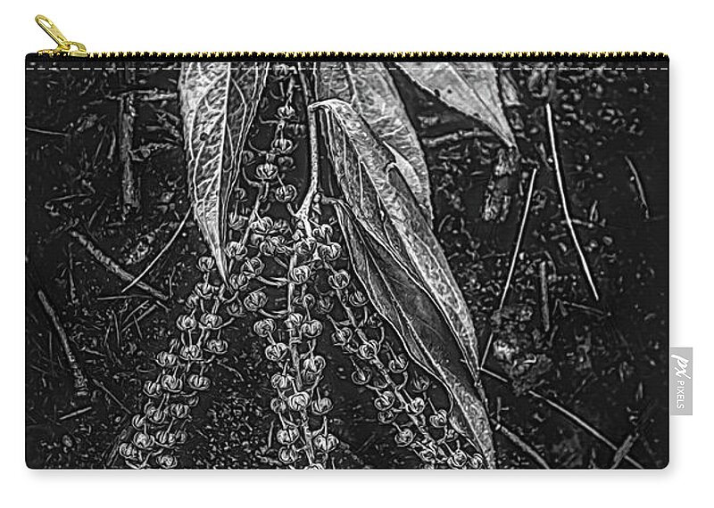 Appalachia Zip Pouch featuring the photograph Forest Botanicals in Black and White by Debra and Dave Vanderlaan