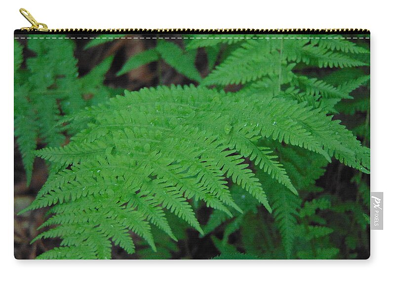 Landscape Zip Pouch featuring the photograph Forest Fern by Richie Parks