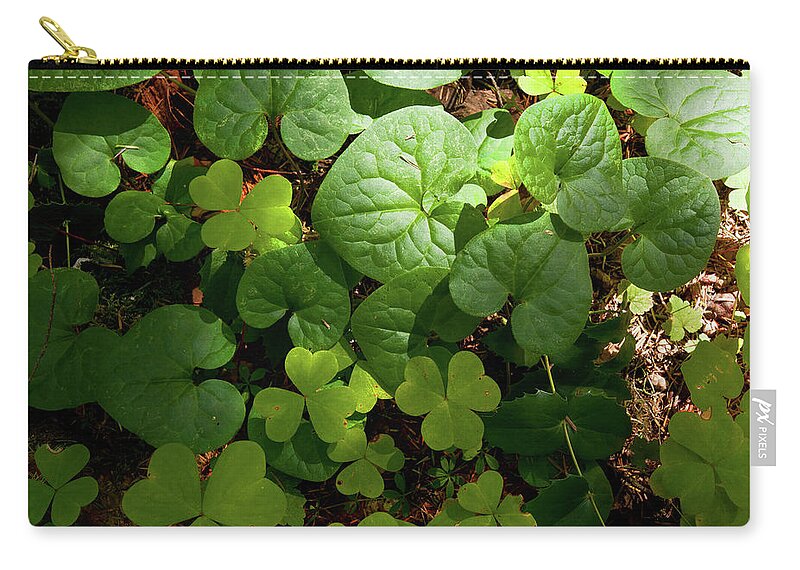 Forest Carry-all Pouch featuring the photograph Forest Floor by Andrew Kumler