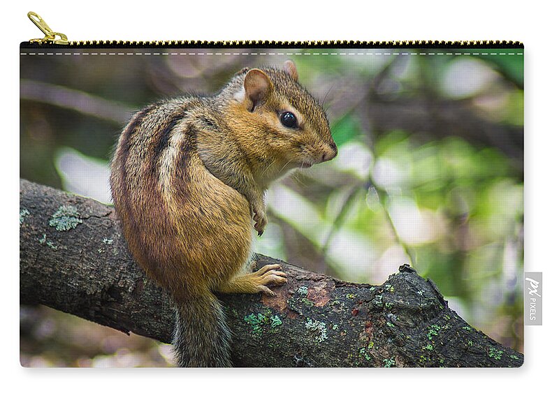 Bill Pevlor Zip Pouch featuring the photograph Forest Friend by Bill Pevlor