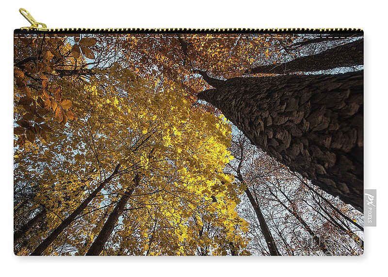 Forest Zip Pouch featuring the photograph Forest Trees-yellow-orange by Steve Somerville