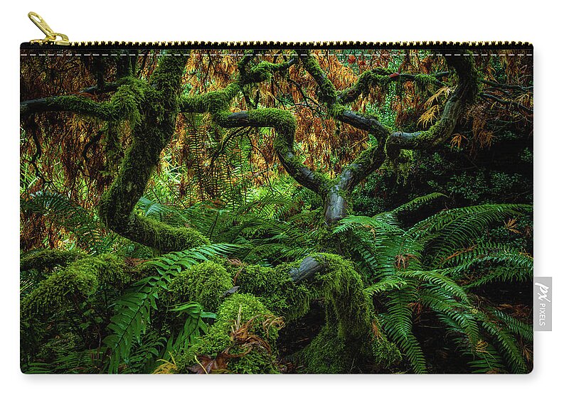 5dsr Carry-all Pouch featuring the photograph Forever Green by Edgars Erglis