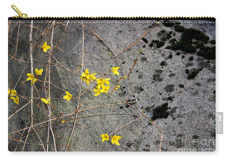 Flora Zip Pouch featuring the photograph Forsythia and Rock by Karen Adams