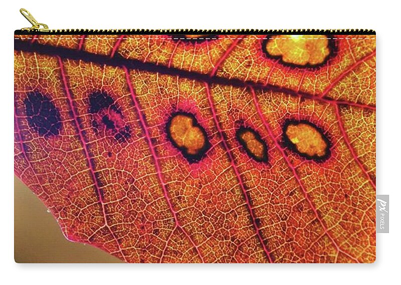 Photojojomacro Zip Pouch featuring the photograph Found Some Gorgeous Smoke Bush Leaves by Ginger Oppenheimer