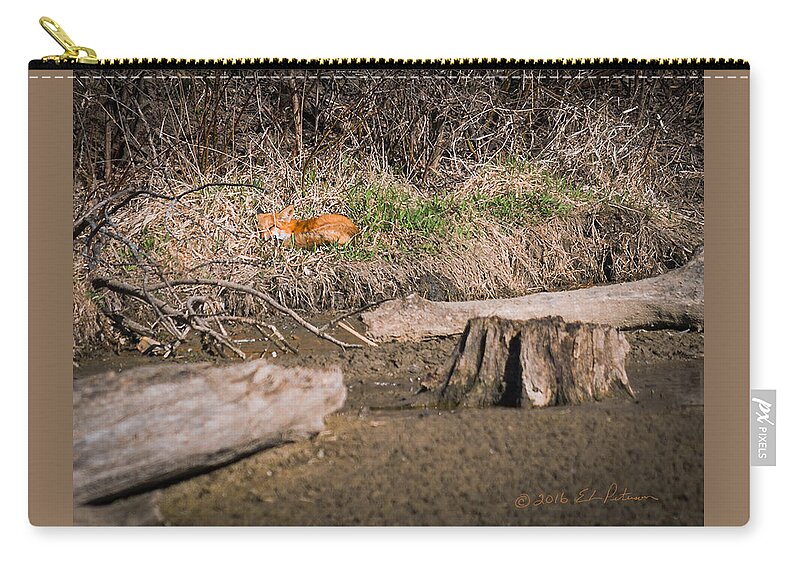 Heron Heaven Zip Pouch featuring the photograph Fox Asleep by Ed Peterson