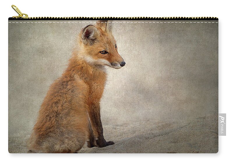 Fox Zip Pouch featuring the photograph Fox Kit 2018 by Bill Wakeley
