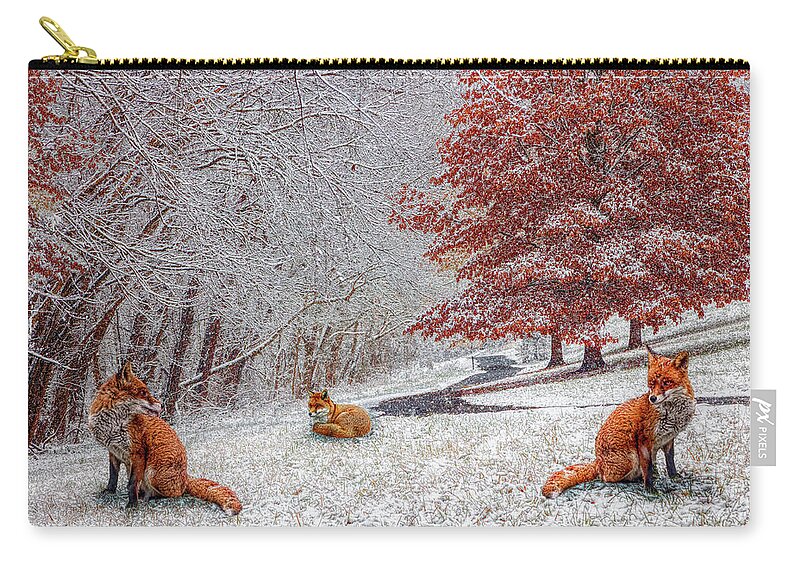 Appalachia Zip Pouch featuring the photograph Foxes in Winter White and Red by Debra and Dave Vanderlaan