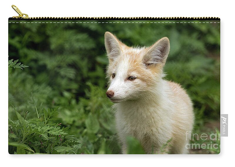 Fox Zip Pouch featuring the photograph Foxy Lady by Sam Rino