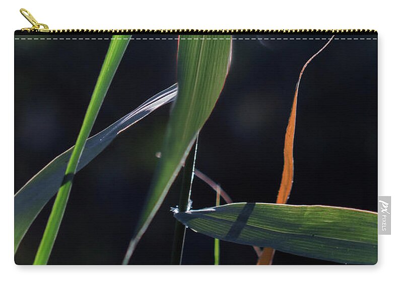 Leaves Zip Pouch featuring the photograph Fragment by Linda Lees