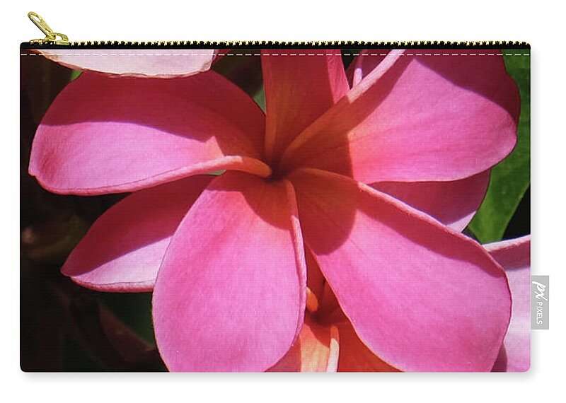 Hawaii Zip Pouch featuring the photograph Frangipani by Mini Arora