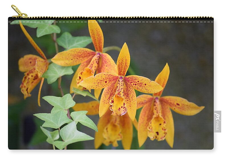 Orchid Zip Pouch featuring the photograph Freckled Flora by Deborah Crew-Johnson