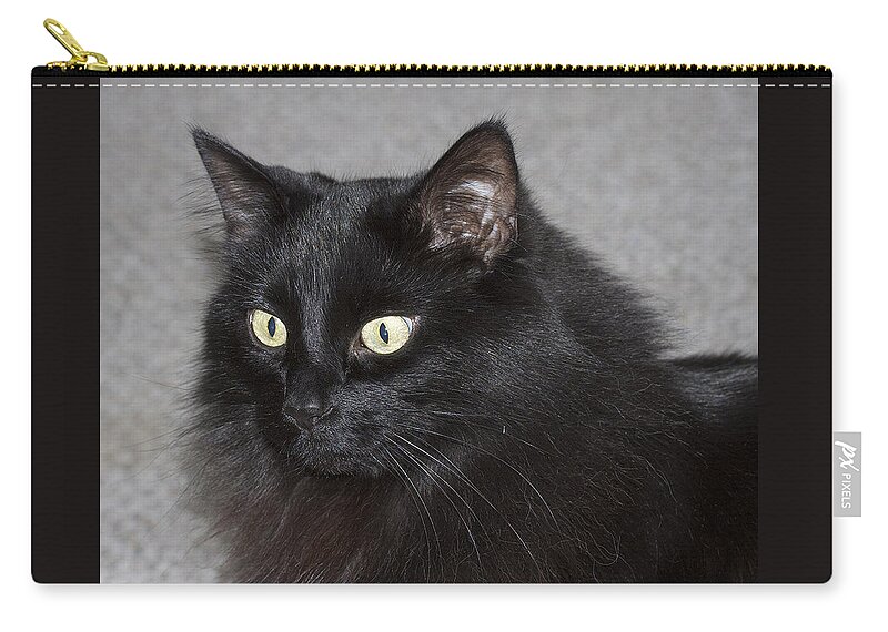 Black Yellow Zip Pouch featuring the photograph Fred by Suanne Forster