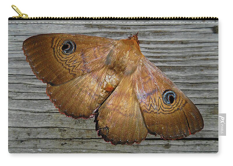 Moth Zip Pouch featuring the photograph Frederica by Mark Blauhoefer