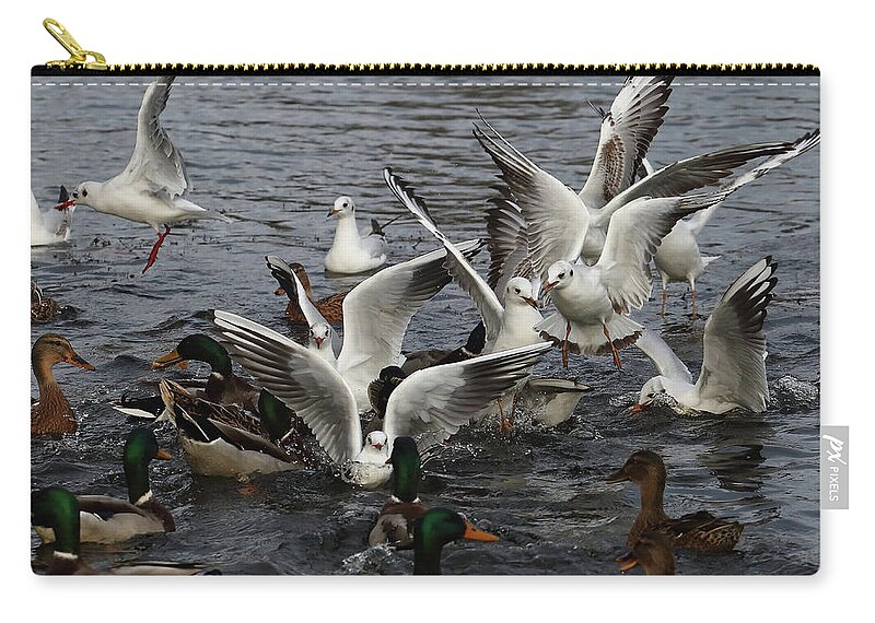 Birds Zip Pouch featuring the photograph Free For All by Jeff Townsend