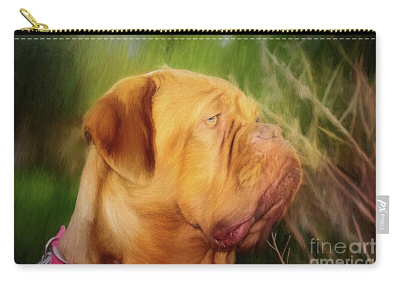 Dogs Zip Pouch featuring the photograph French Mastiff by Eleanor Abramson