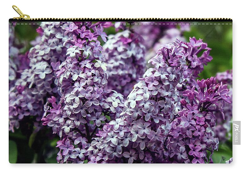 Garden Zip Pouch featuring the photograph Fresh And Fearless by Roselynne Broussard