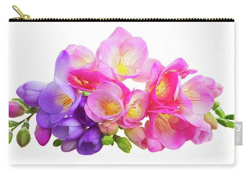 Freesia Zip Pouch featuring the photograph Fresh Pink and Violet Freesia Flowers by Anastasy Yarmolovich