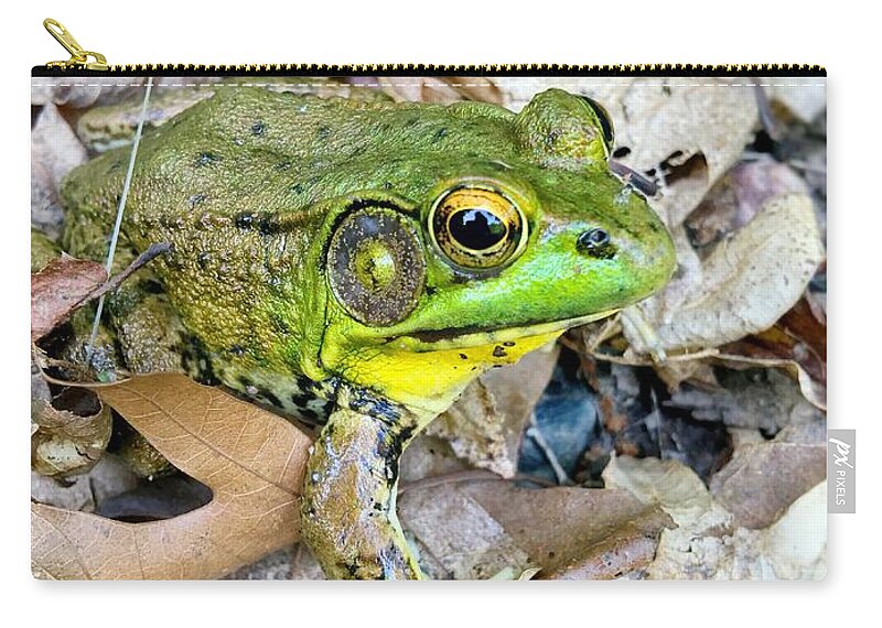Frog Zip Pouch featuring the photograph Friendly Frog by Nancy Ann Healy
