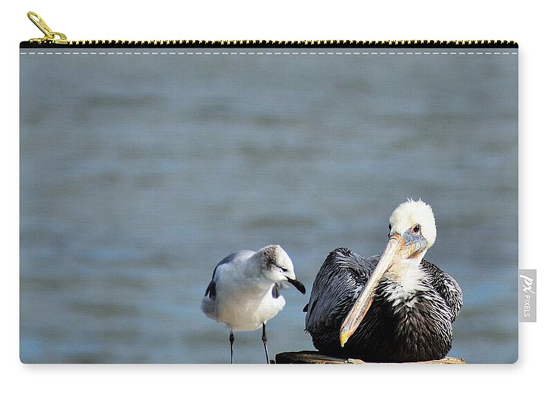 Sea Gull Zip Pouch featuring the photograph Friends Forever by Jan Gelders