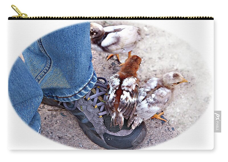 Chicken Zip Pouch featuring the photograph Friends by Tatiana Travelways