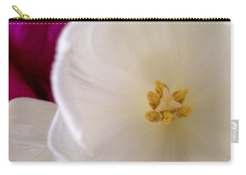 Flowers Carry-all Pouch featuring the photograph Friendship by Denise Railey
