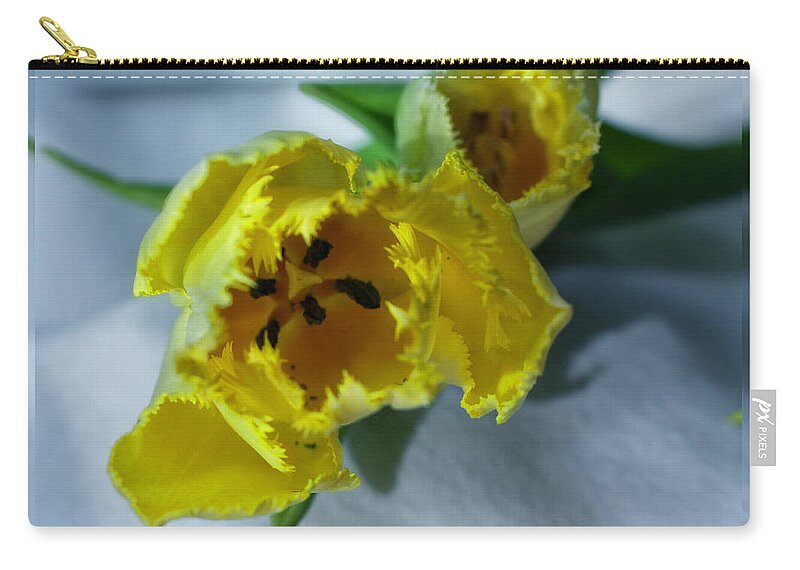 Tulips Zip Pouch featuring the photograph Frilly Yellow Tulips by Ella Kaye Dickey