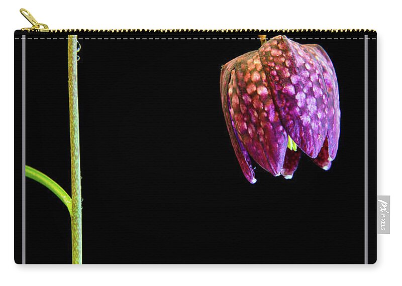 Fritillaria Meleagris Carry-all Pouch featuring the photograph Fritillaria meleagris, Snakes Head fritillary by Andy Myatt