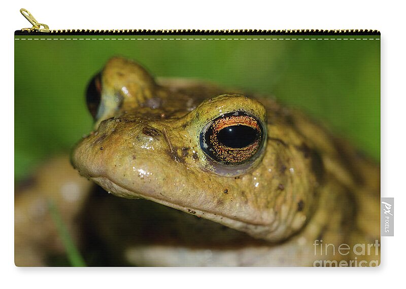 Frog Zip Pouch featuring the photograph Frog posing by Steev Stamford