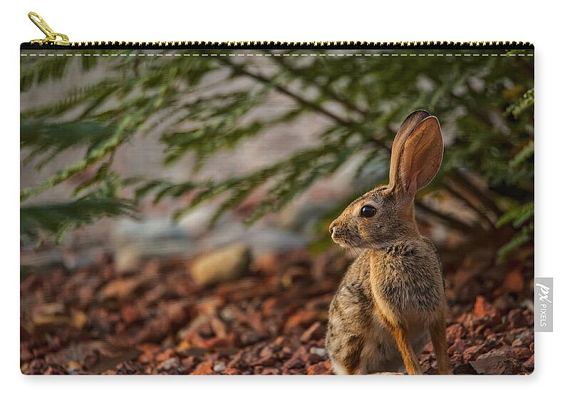 Tucson Zip Pouch featuring the photograph Frontyard Bunny by Dan McManus
