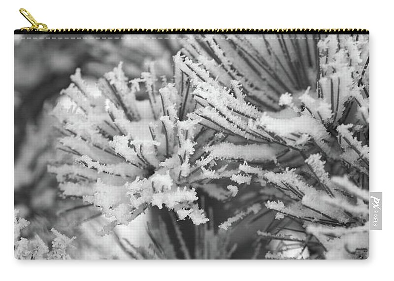 Pine Tree Zip Pouch featuring the photograph Frosted by Ivan Franklin