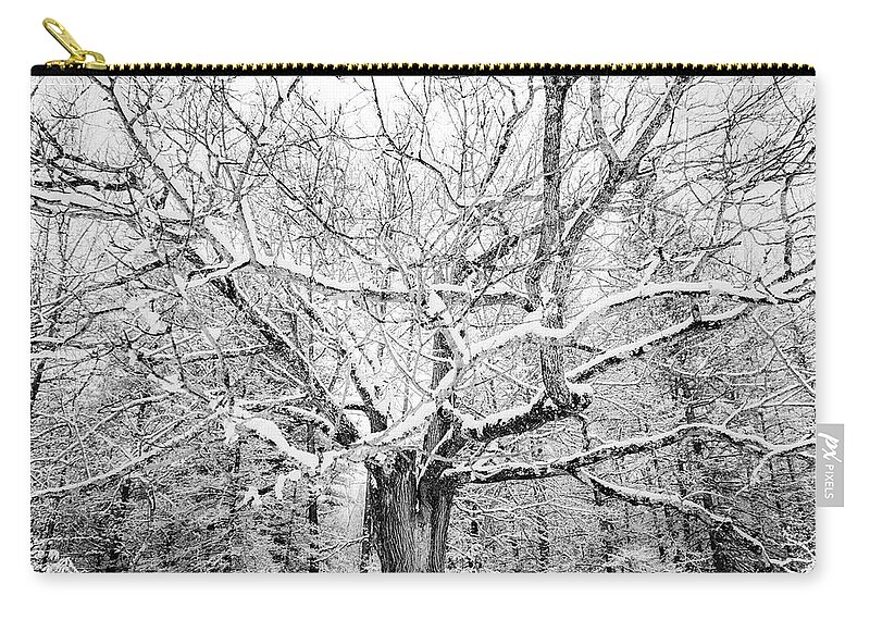  Zip Pouch featuring the photograph Frosted by Kendall McKernon