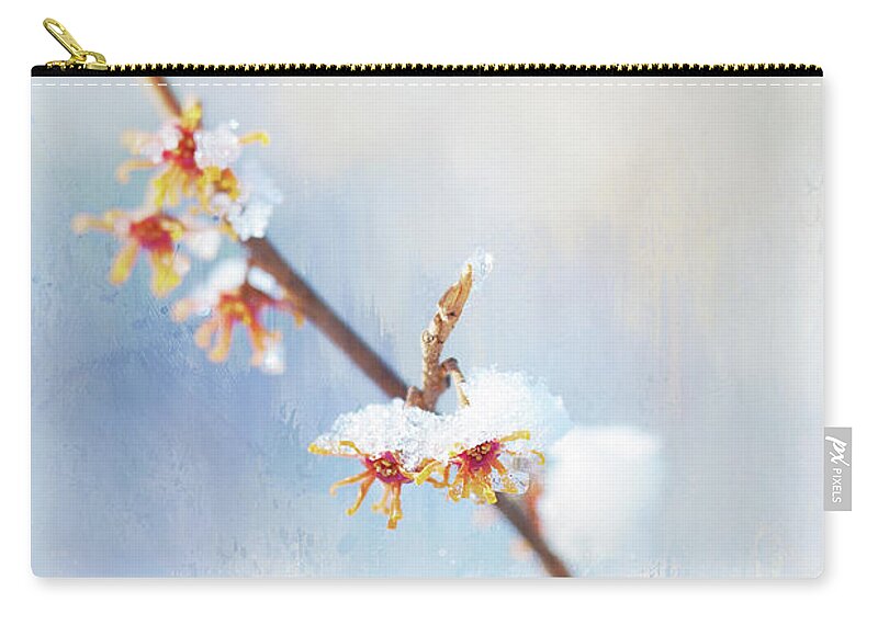 Witch Hazel Zip Pouch featuring the photograph Frosted Witch Hazel Blossoms by Anita Pollak