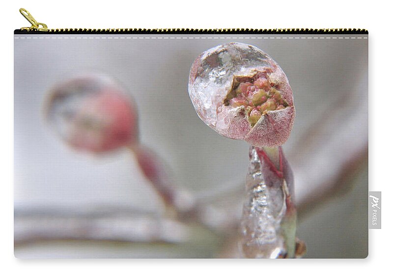 Flower Zip Pouch featuring the photograph Frozen Dogwood Bud by Susan Cliett