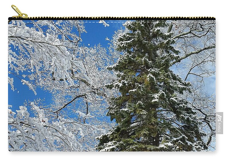 Winter Zip Pouch featuring the photograph Frozen Evergreen by Vic Ritchey