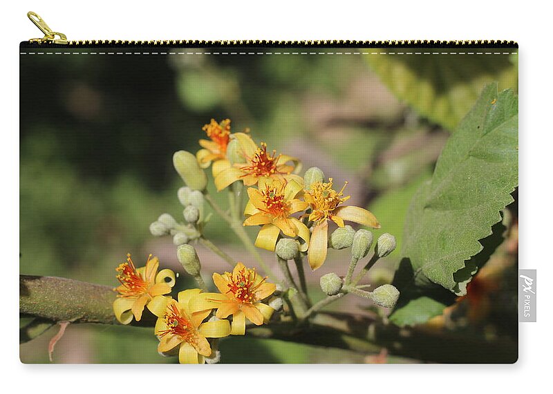 Flower Zip Pouch featuring the photograph Fruit flowers by Khalid Saeed