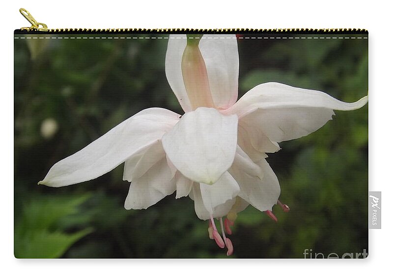 Flower Zip Pouch featuring the photograph Fuchsia Fantasy by Lingfai Leung
