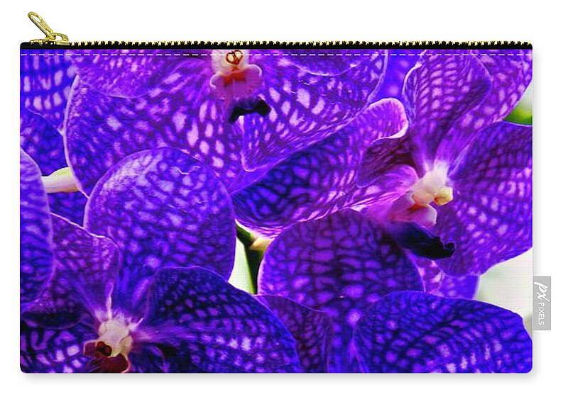 Orchids Zip Pouch featuring the photograph Full Bloom by Craig Wood