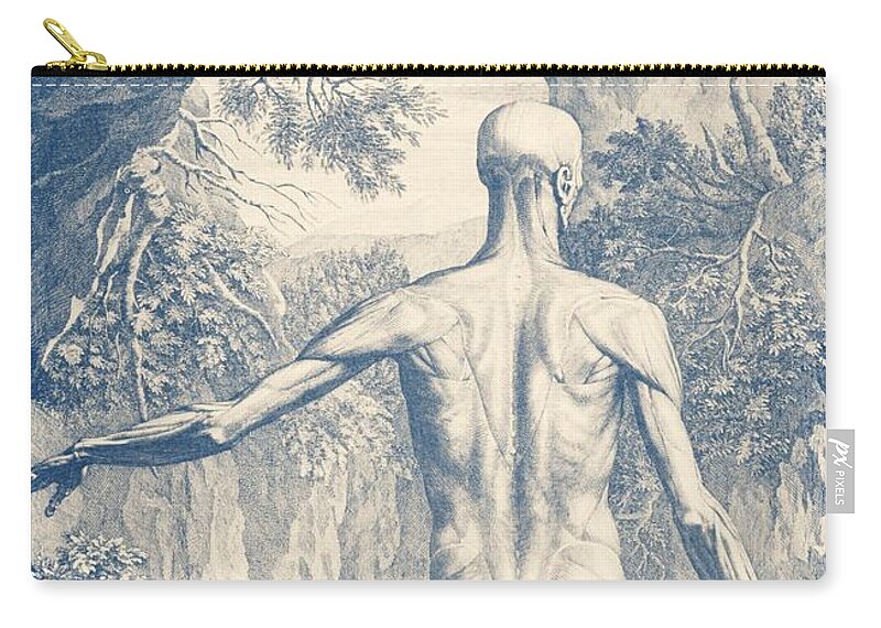 Muscle Utilization Zip Pouch featuring the drawing Full Muscular System - Vintage Anatomy Print by War Is Hell Store