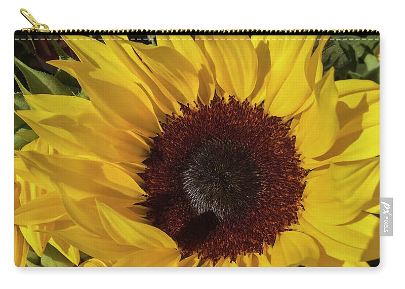 Sunflower Zip Pouch featuring the photograph Full Sun by Arlene Carmel